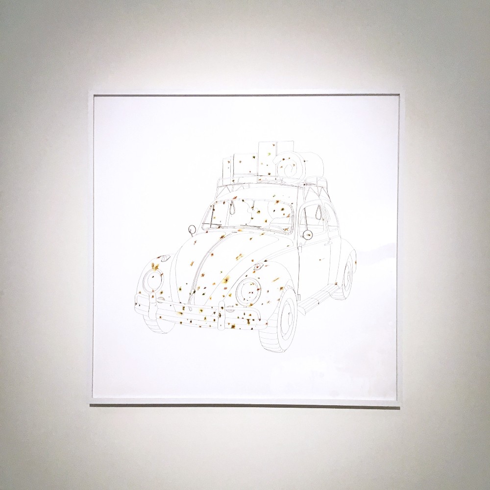 Shawn Smith: Entangled Ecologies