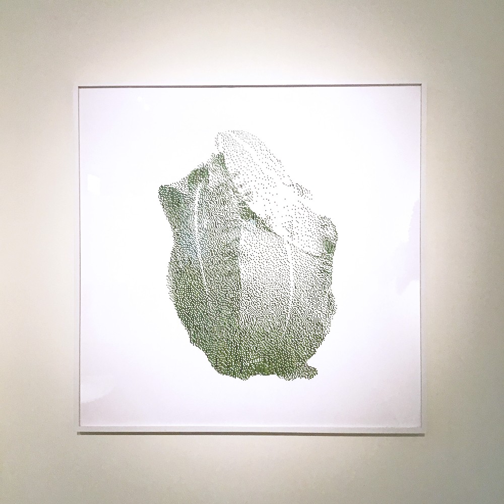 Shawn Smith: Entangled Ecologies