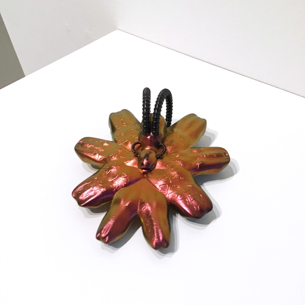 Shawn Smith: Entangled Ecologies