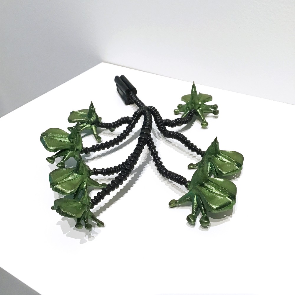 Shawn Smith: Entangled Ecologies