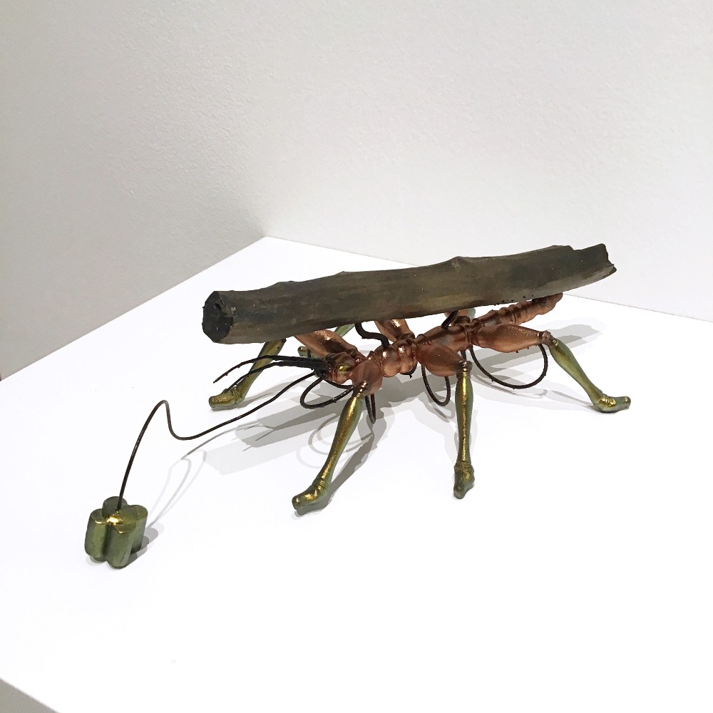 Shawn Smith: Entangled Ecologies