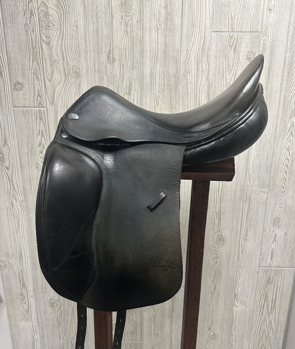 Harry Dabbs Jaguar Dressage-17