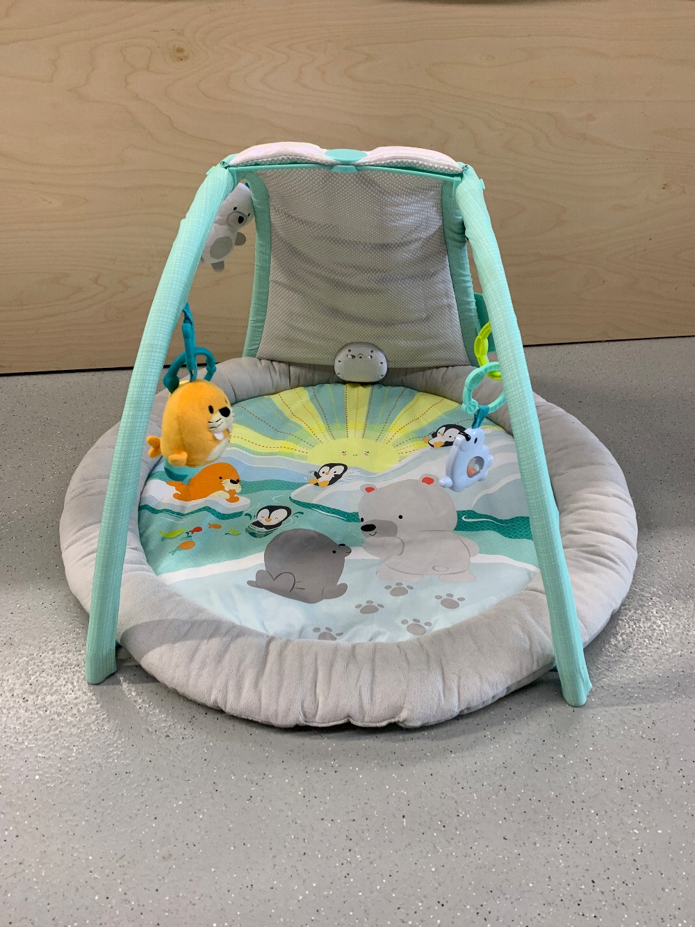 Arctic Glow Light Show