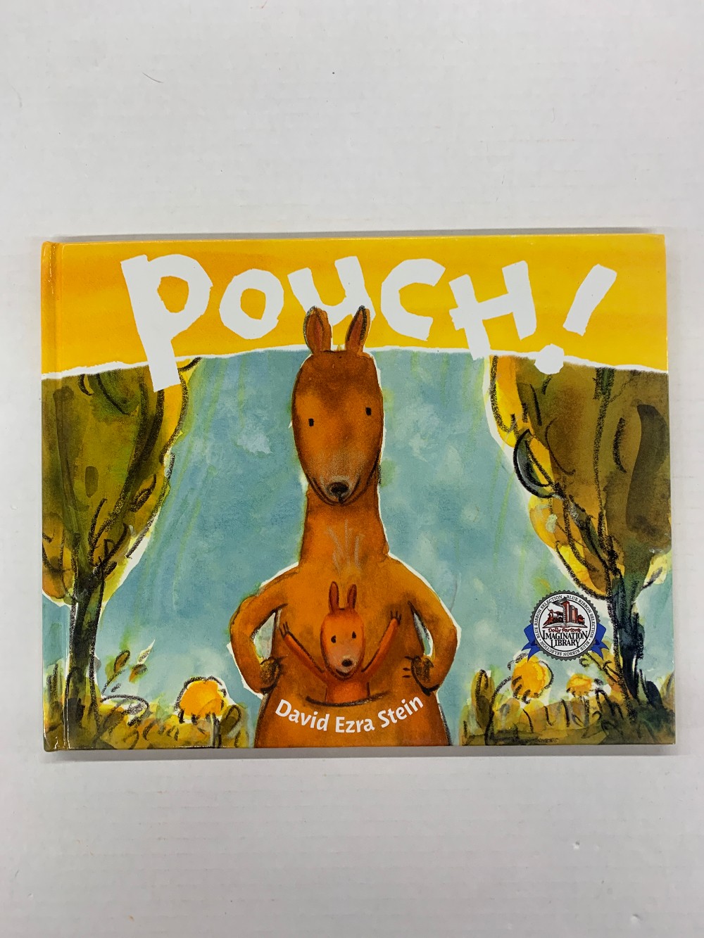Pouch