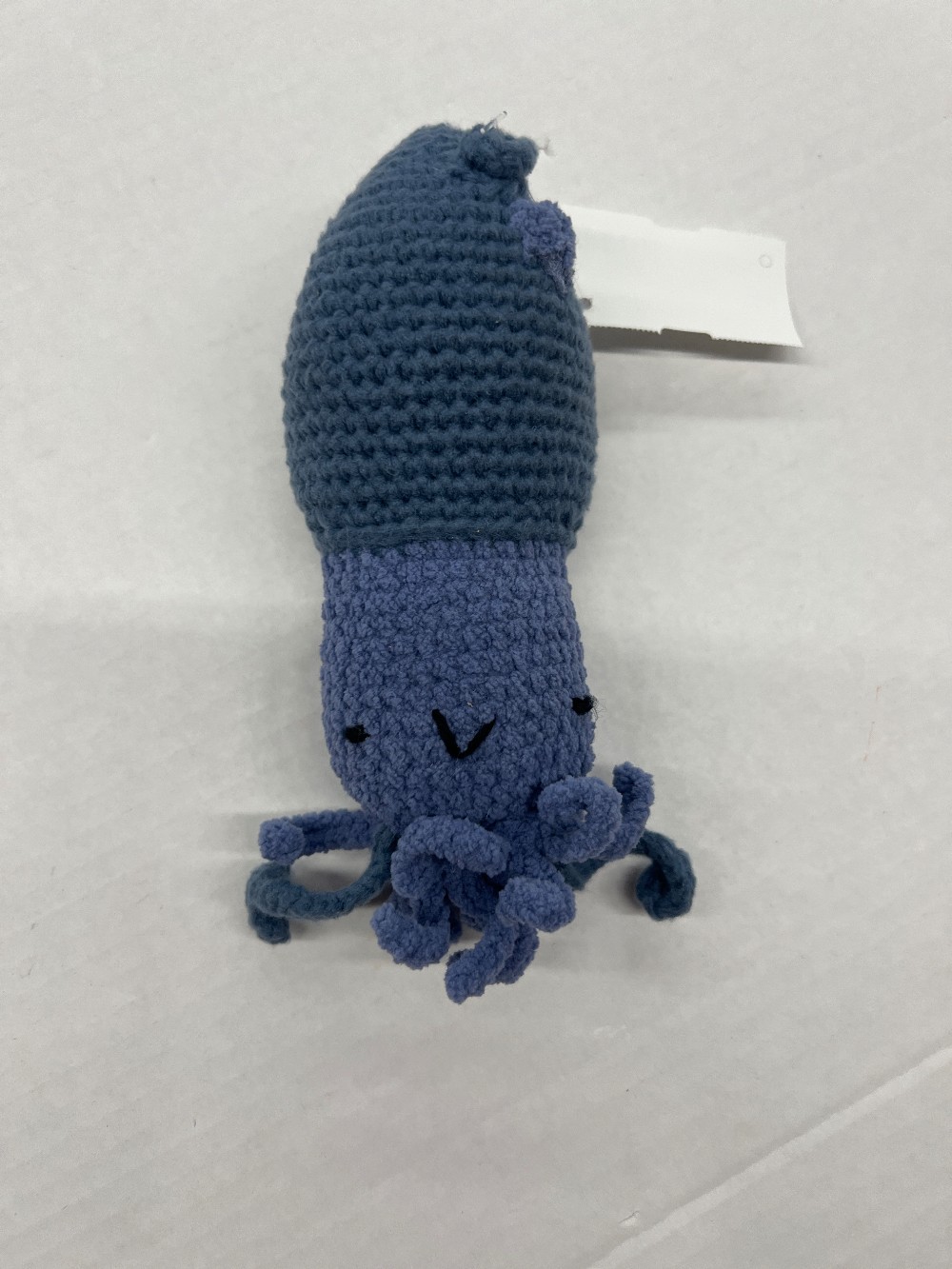 Squid