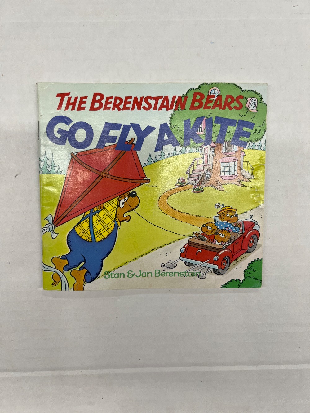 The Berenstain Bears Go fly a Kite