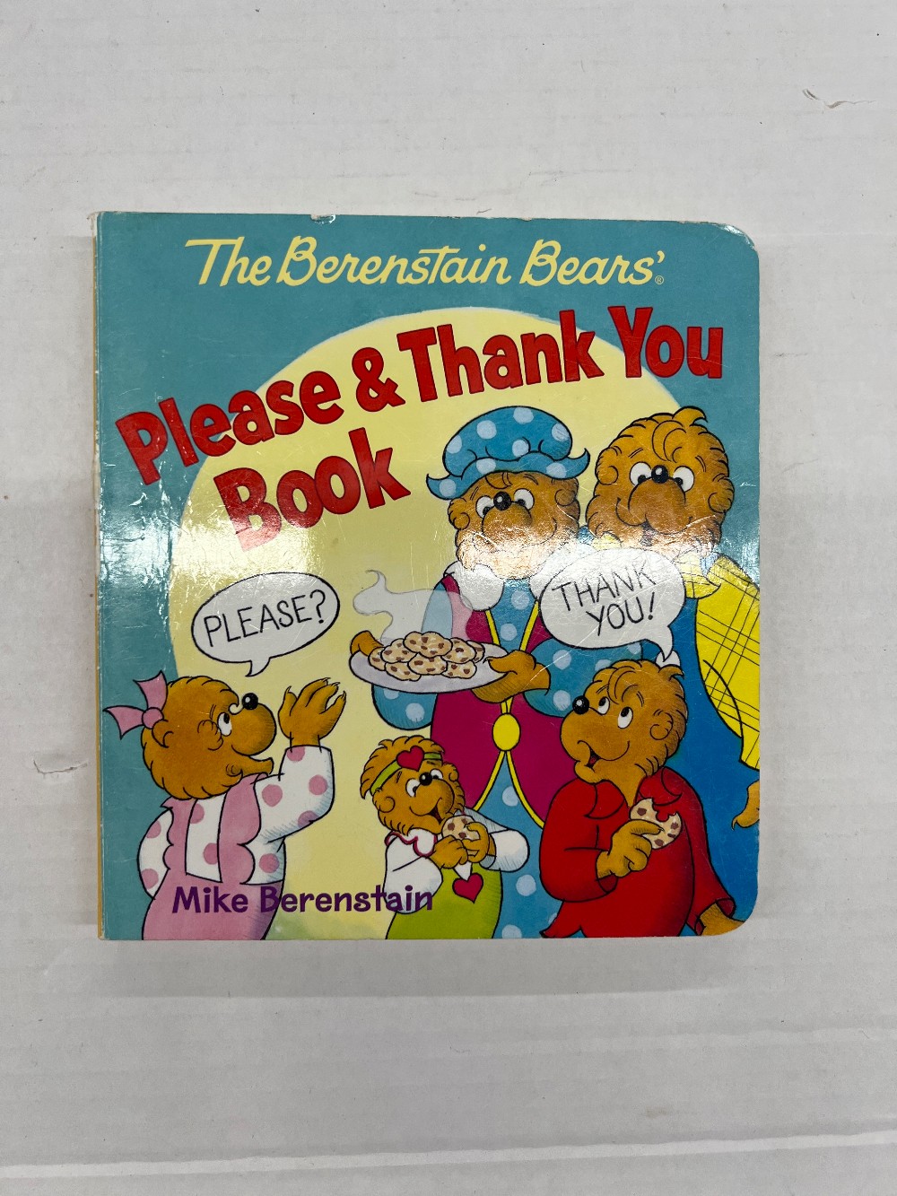 The Berenstain Bears Please and Thank You