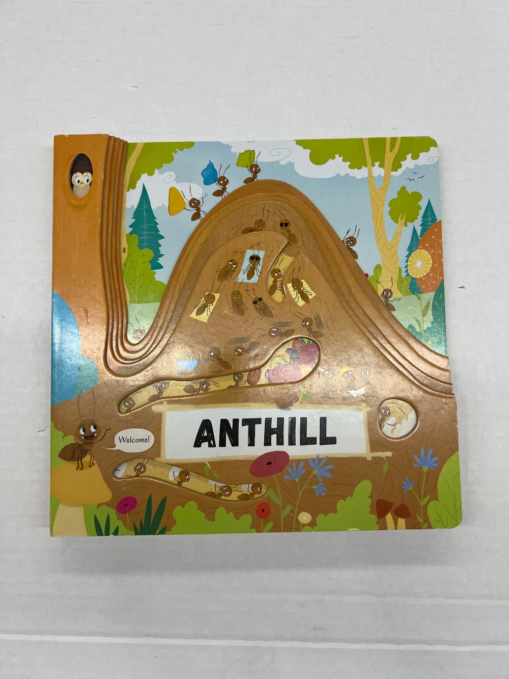 Anthill