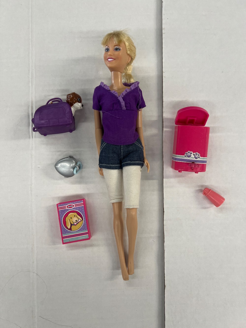 Barbie with Access