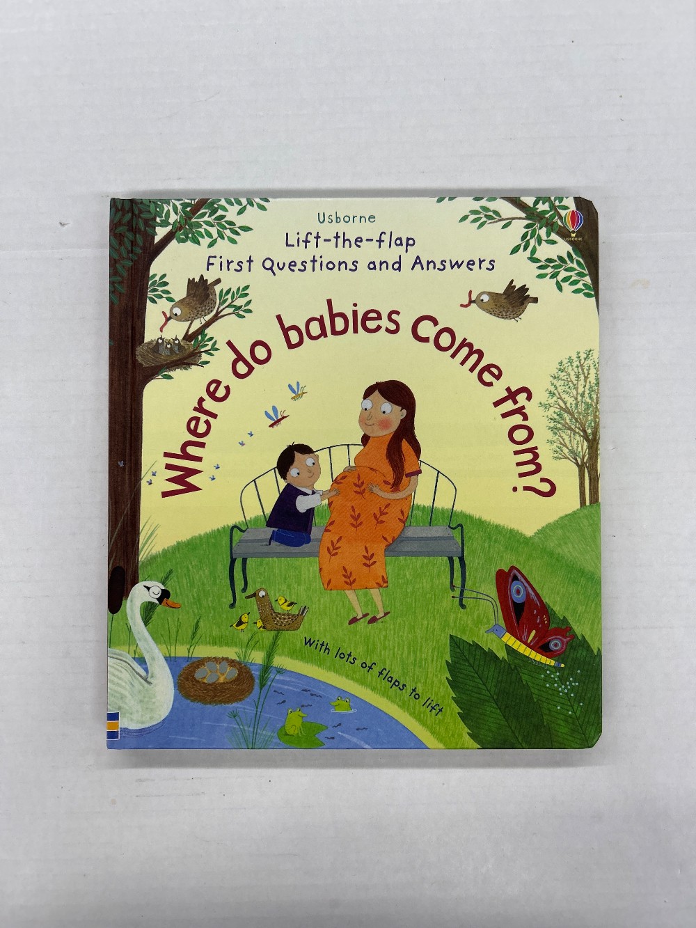 Lift-the-flap Questions and Answers Where do babies come from?