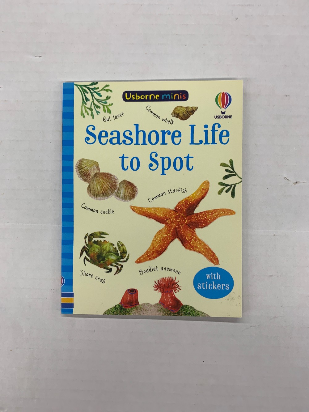 Seashore Life to Spot