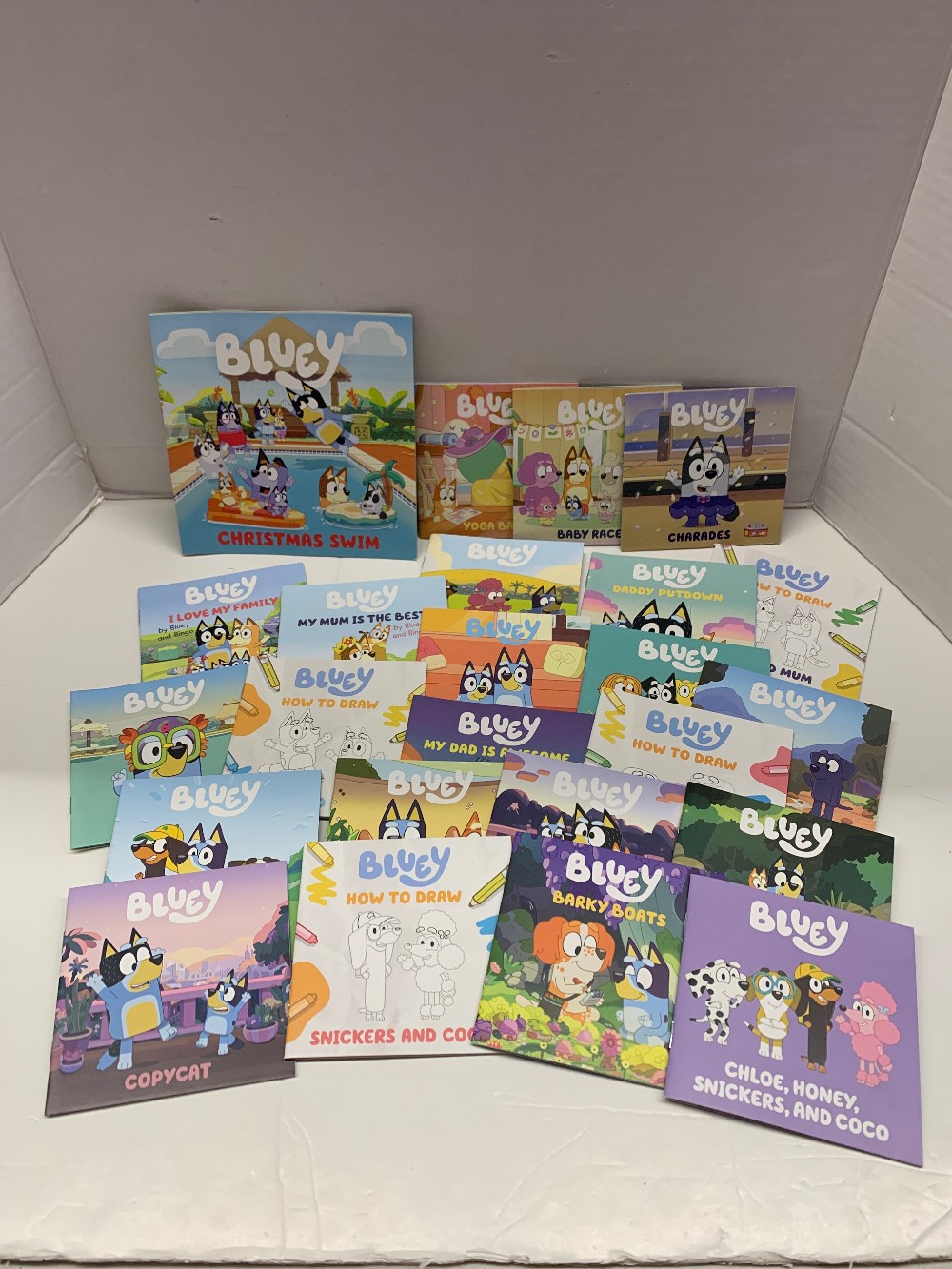 x24 Bluey Books