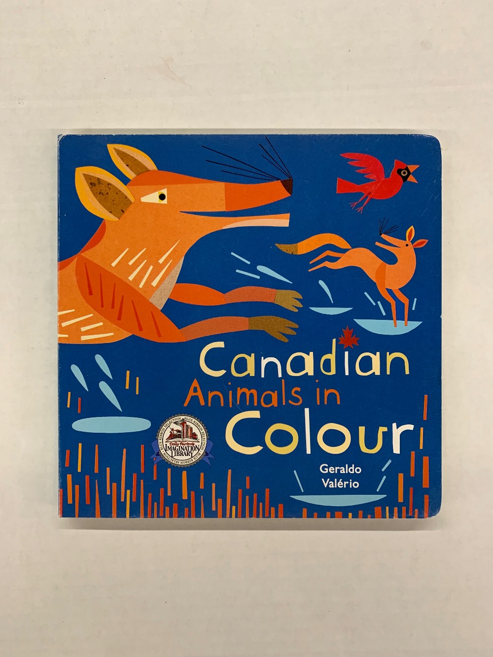 Canadian Animals in Colour