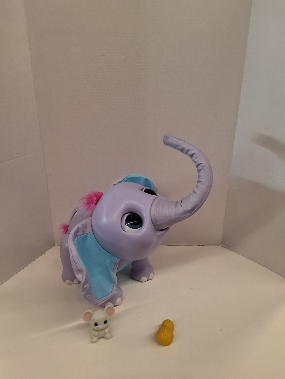 Juno my baby elephant