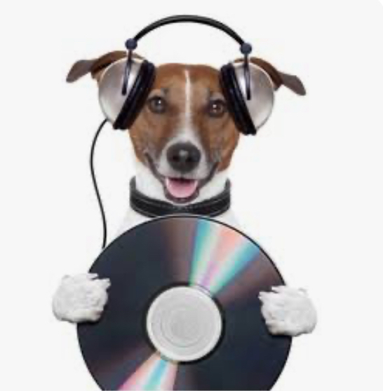 Records - CDs - VHS - Media