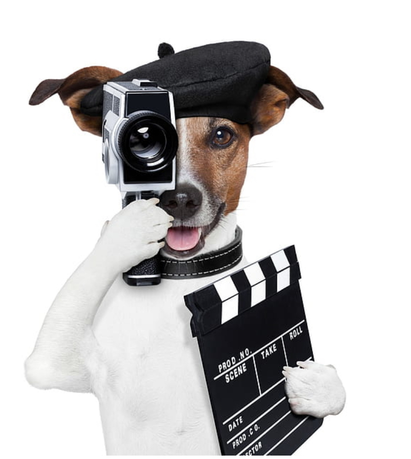 Cameras , Stereos, Radios & Typewriters