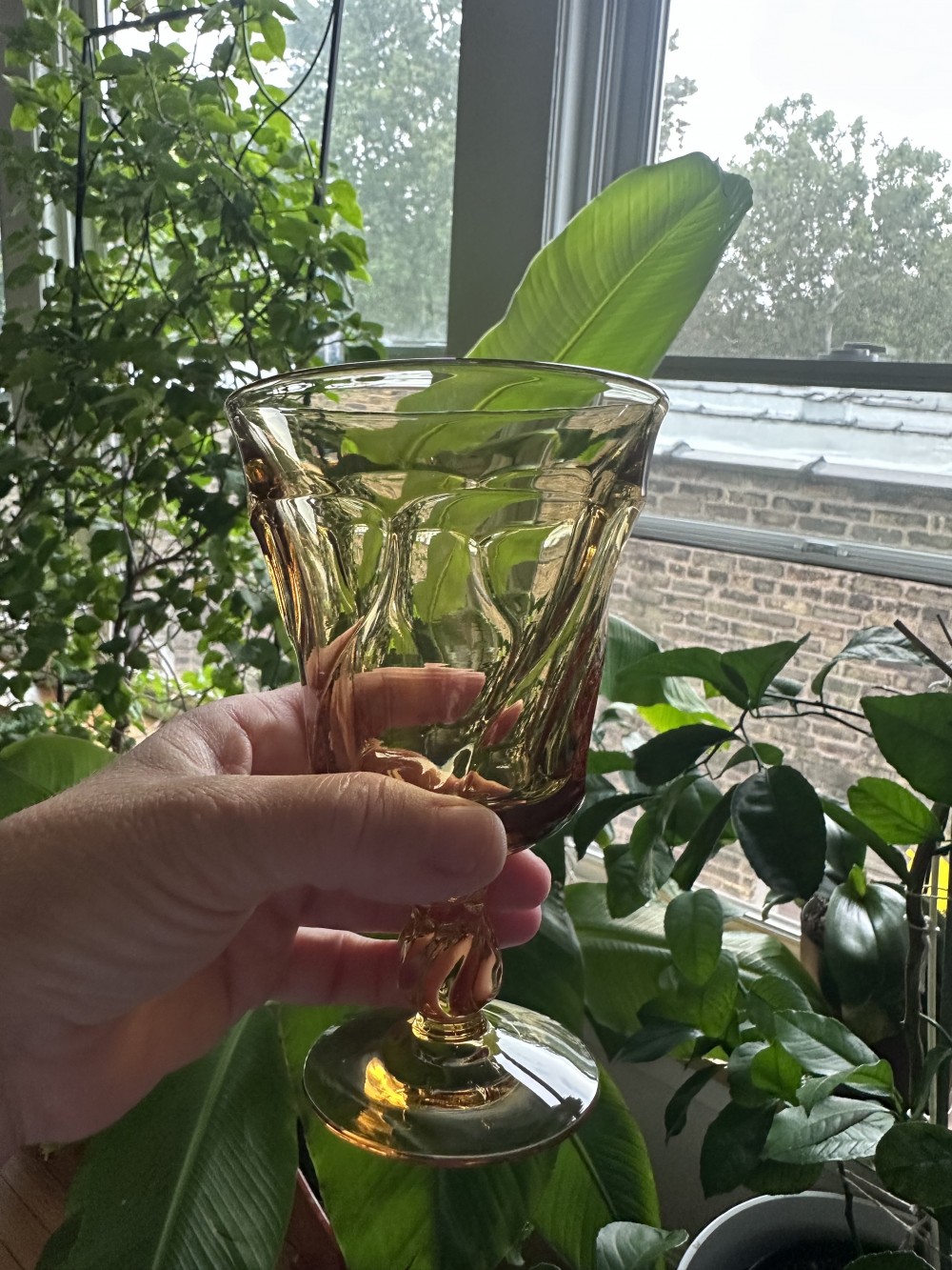 Set of 7 Fostoria JAMESTOWN amber water goblets