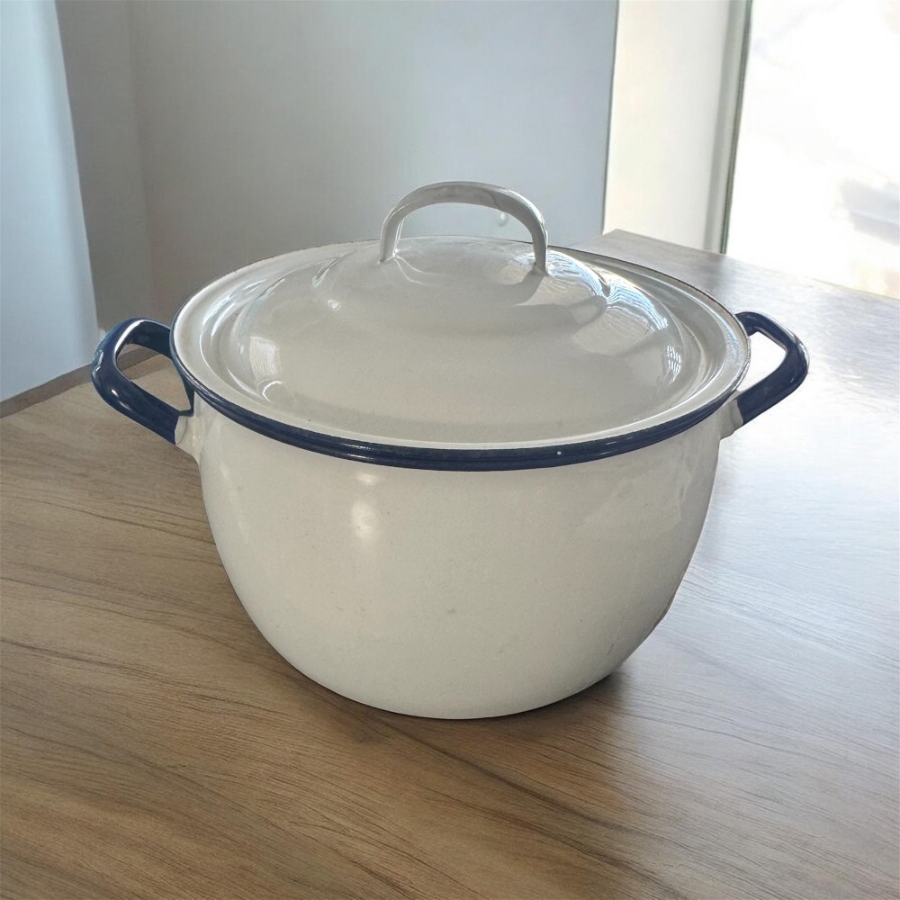 Blue & White Enamel Pot