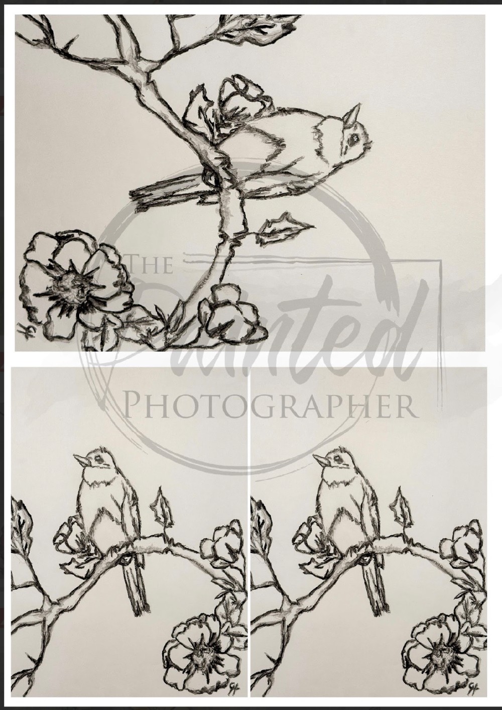 Multiple Whispering Spring NO COLOR Rice Paper