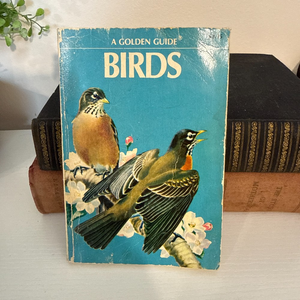 Golden Guide Birds – Vintage Pocket Guide