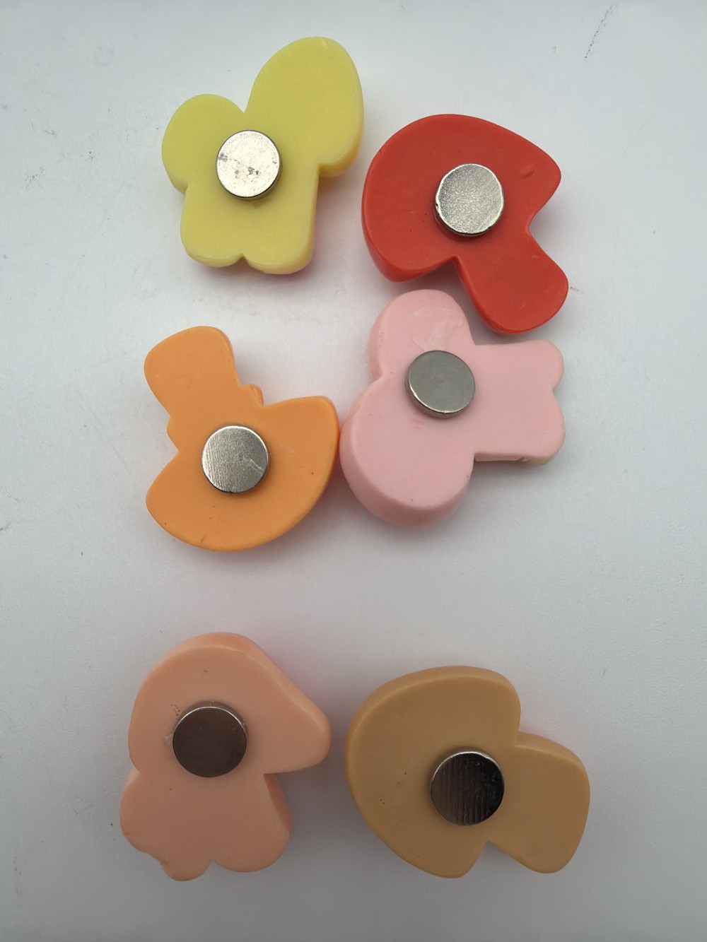 Set of 6 Mini Mushroom Magnets in Glass Jar