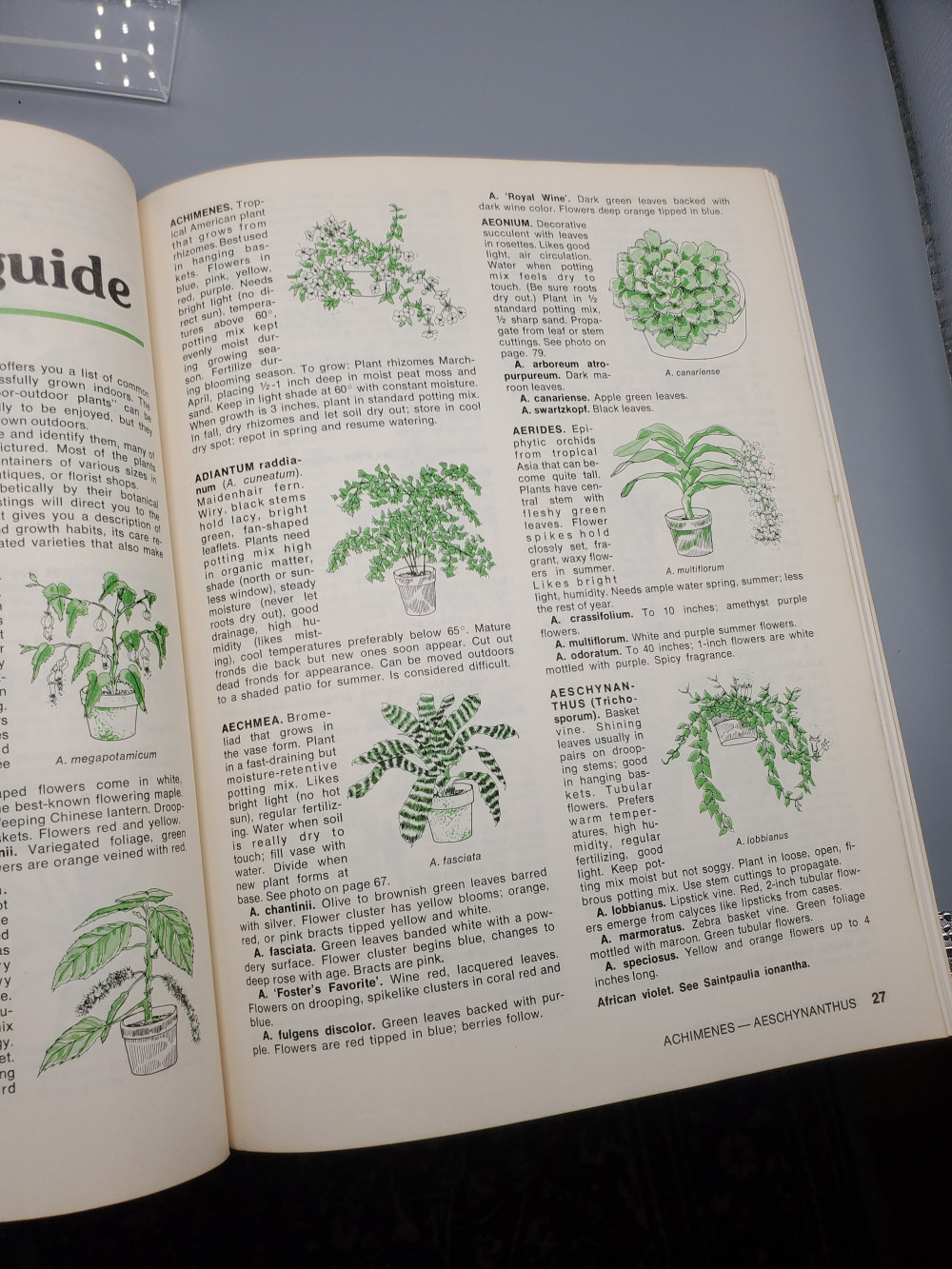How to Grow House Plants Eighth Printing 1982