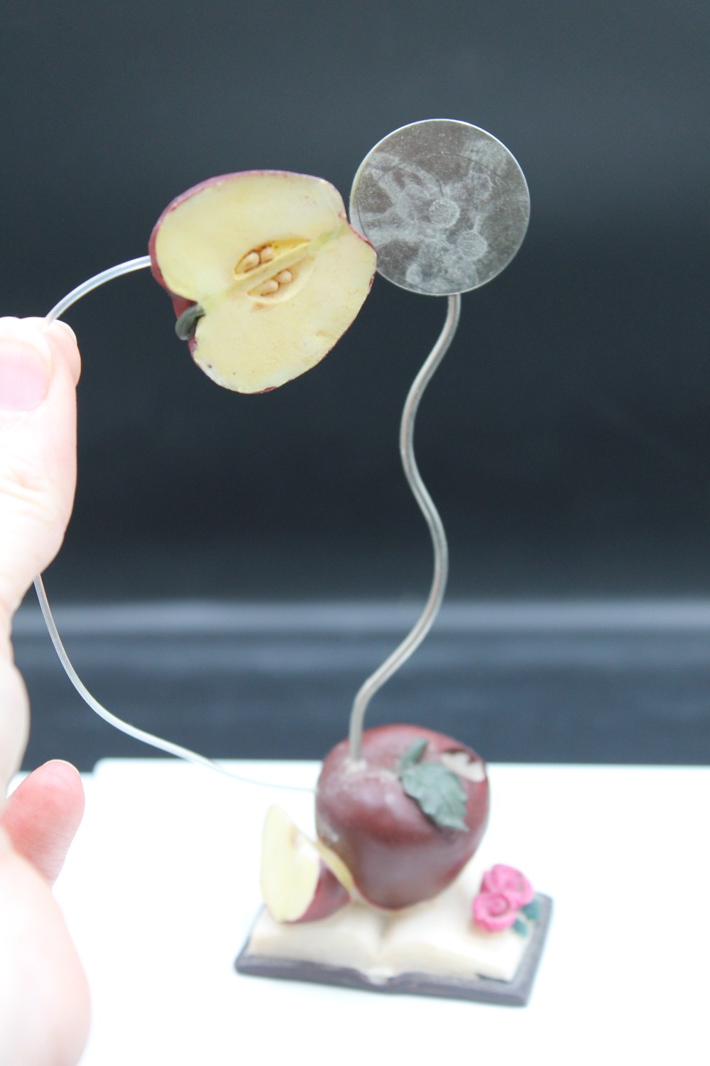 Apple Magnetic recipe & pen holder