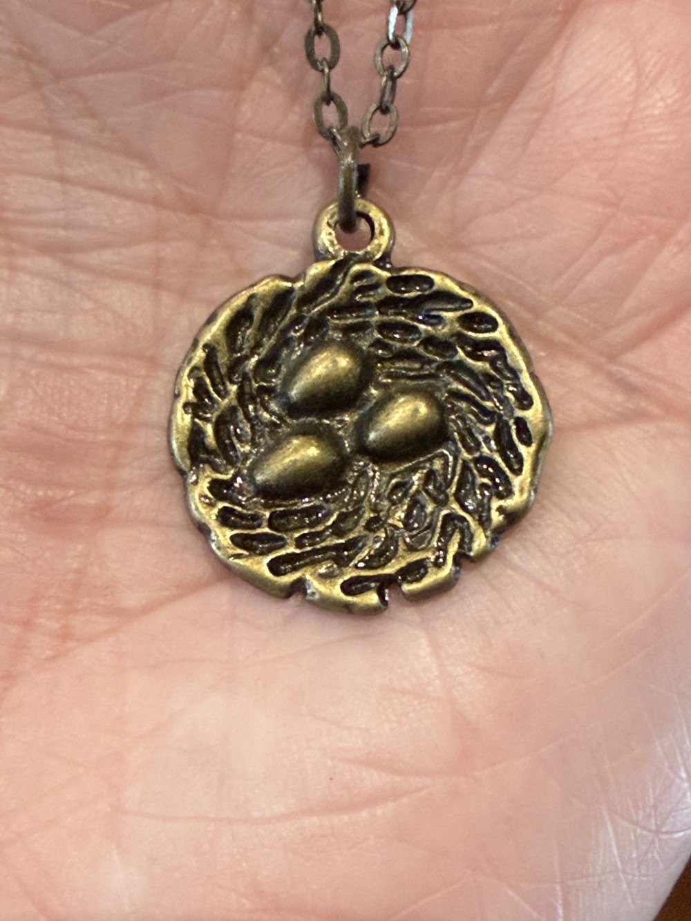 Pendant Necklace - Bird Nest with 3 eggs in bronze