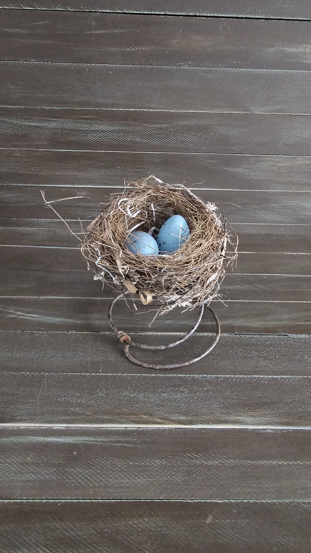 Bed spring birds nest