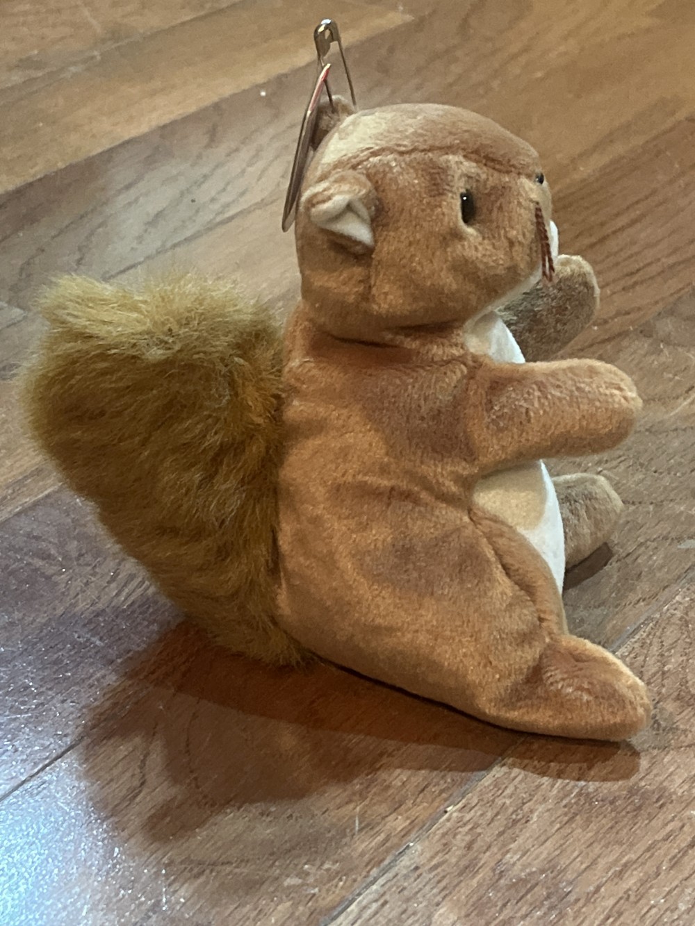 Nuts Beanie Baby