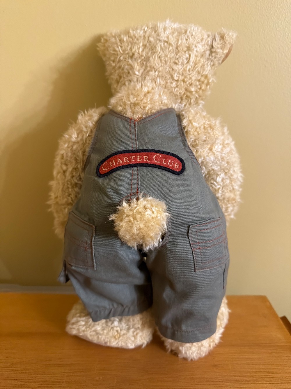 CHARTER CLUB 2000 CLUB TEDDY BEAR