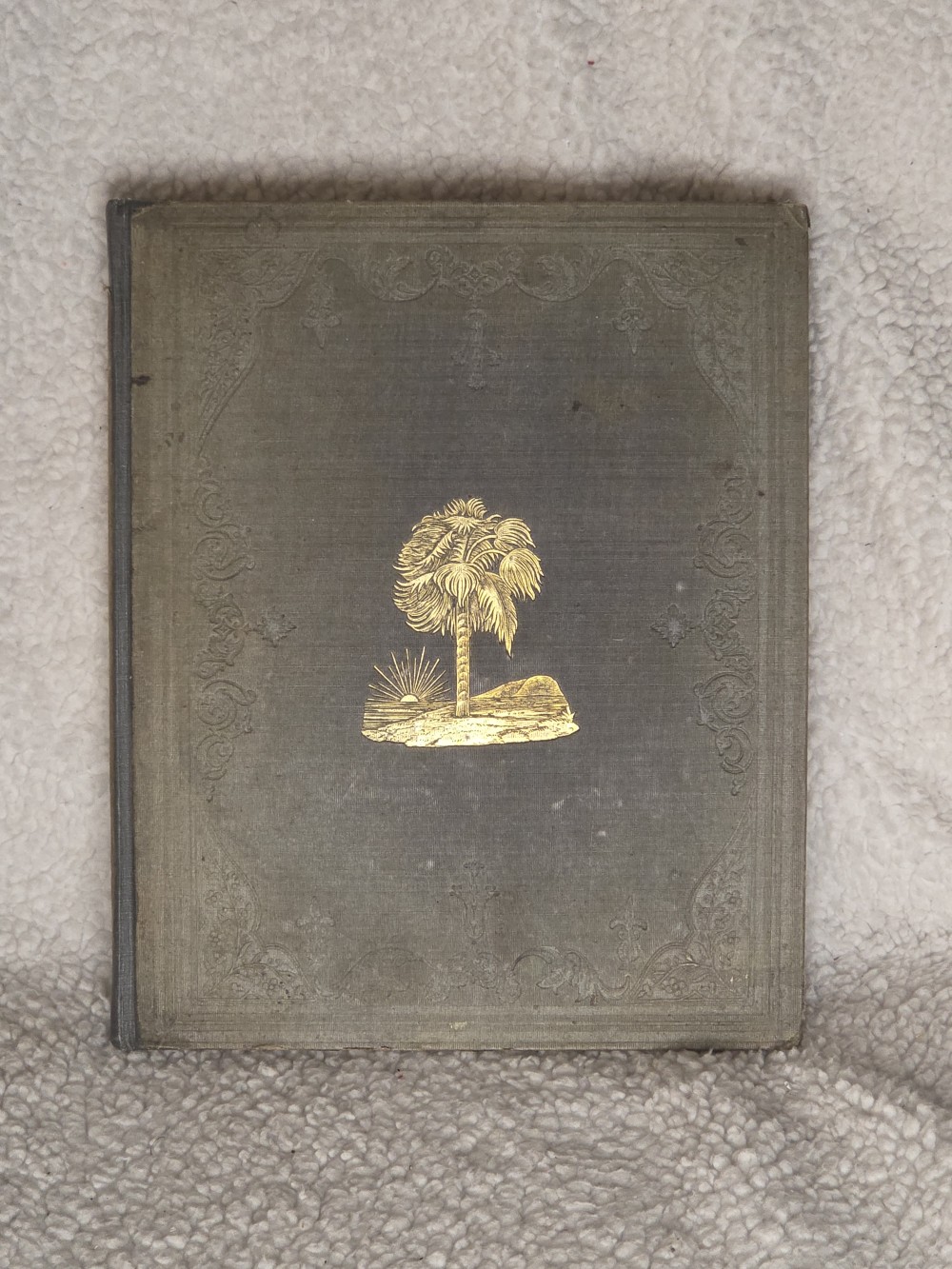 RARE 1848 Geology of SC Book