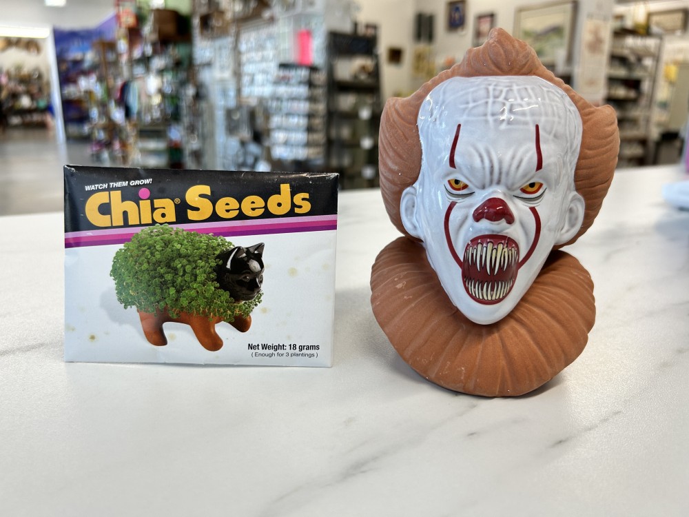 Pennywise Chia Pet