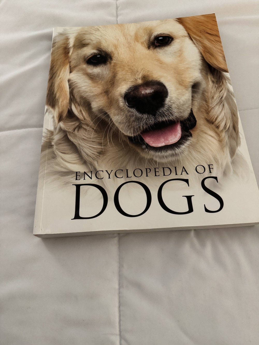 LARGE COFFEE TABLE BOOK 