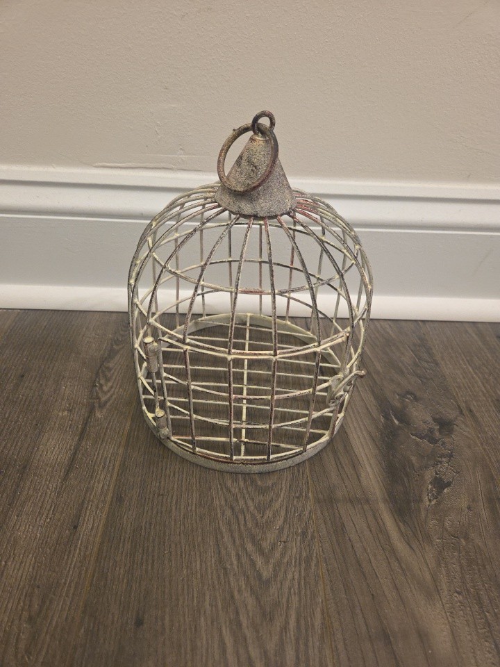 Distressed Metal Bird Cage