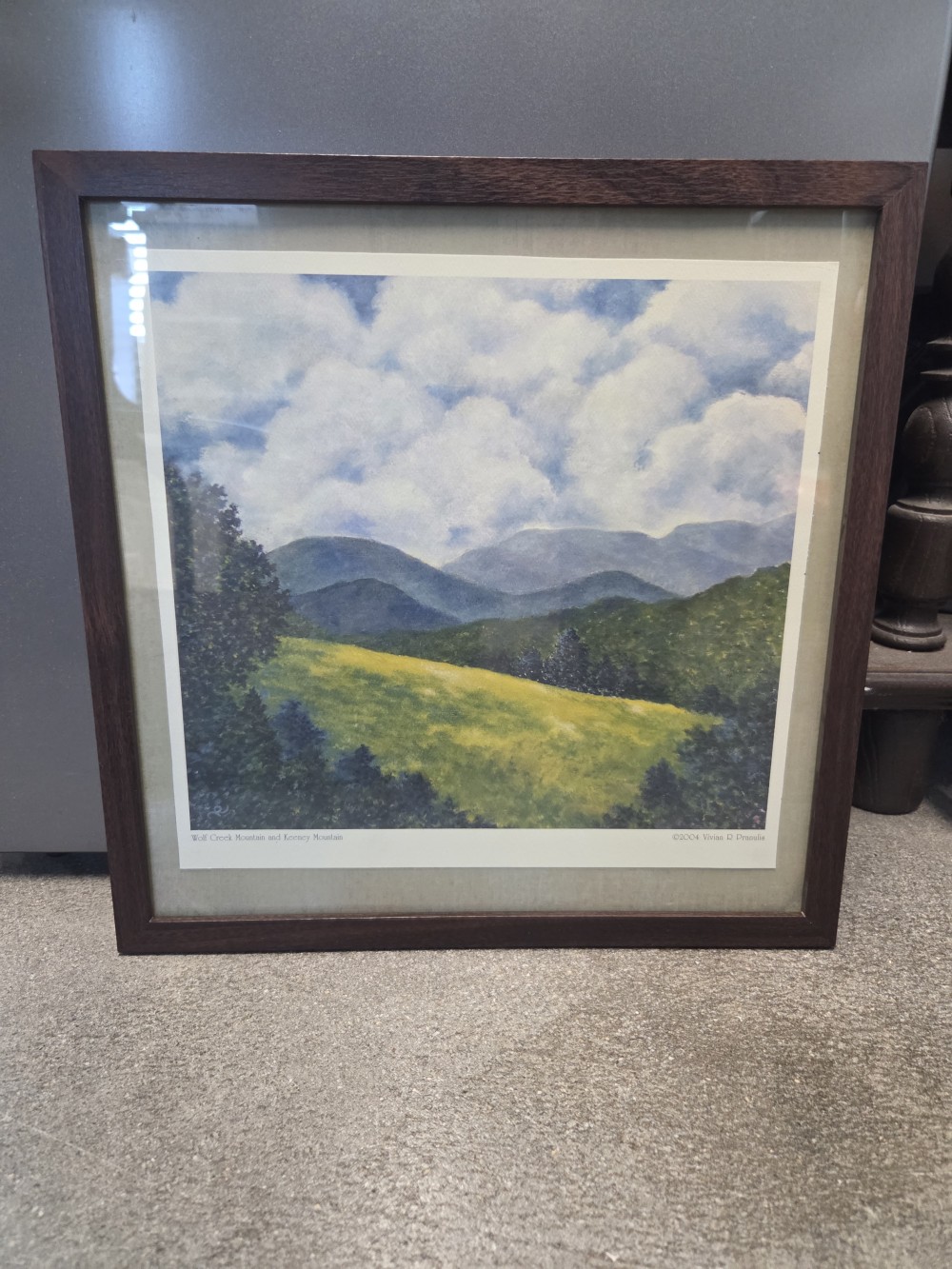 PMF-435 Wolf Creek Mountains