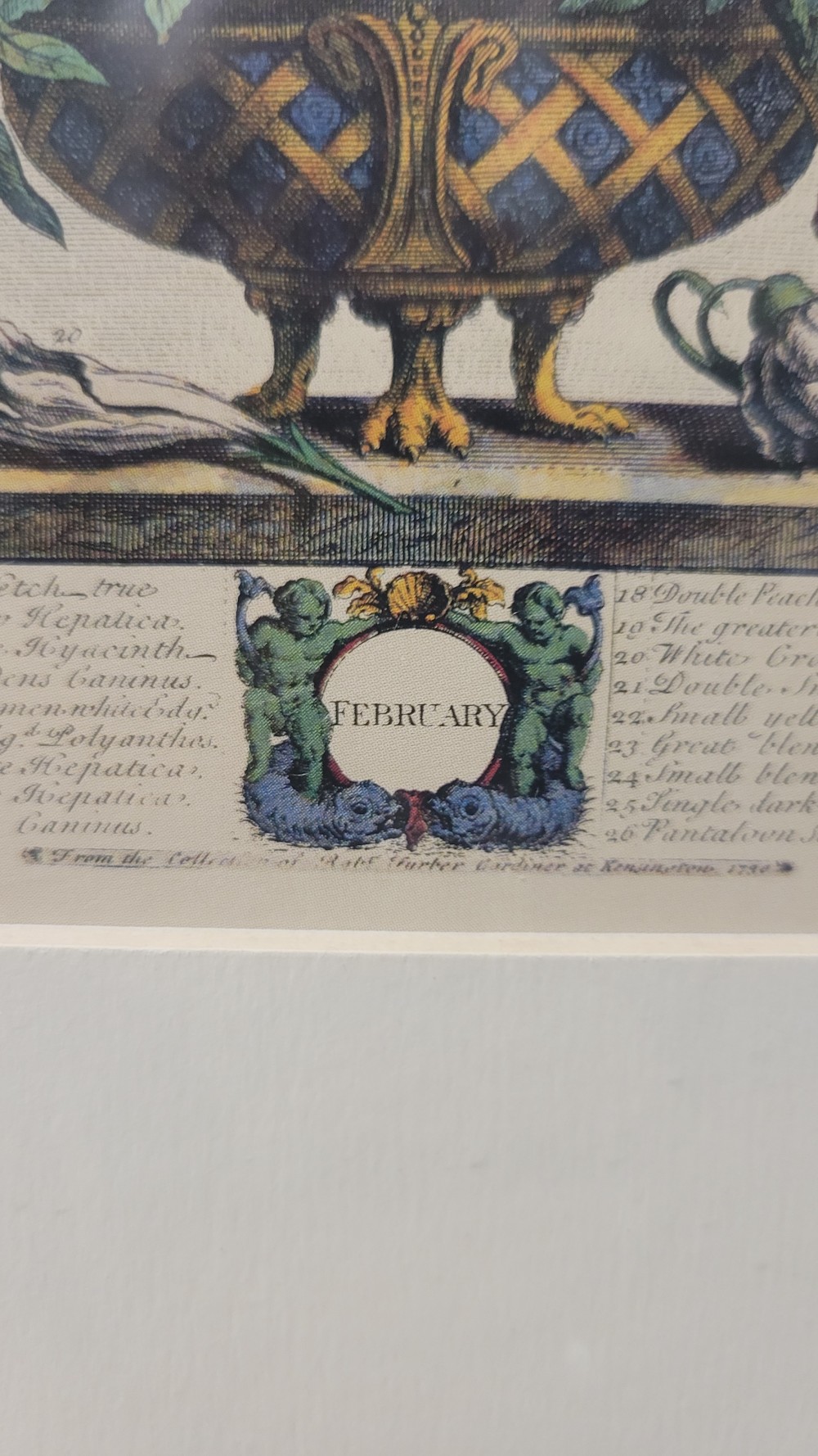 February - Framed Botanical Print