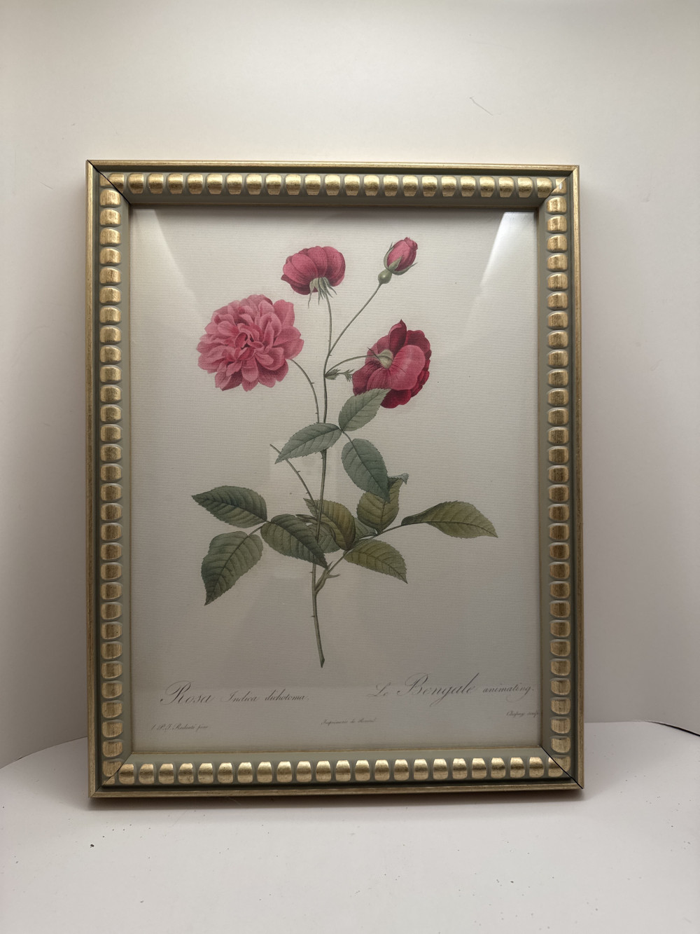 BOTANICAL PRINT, REPRODUCTION, ROSES