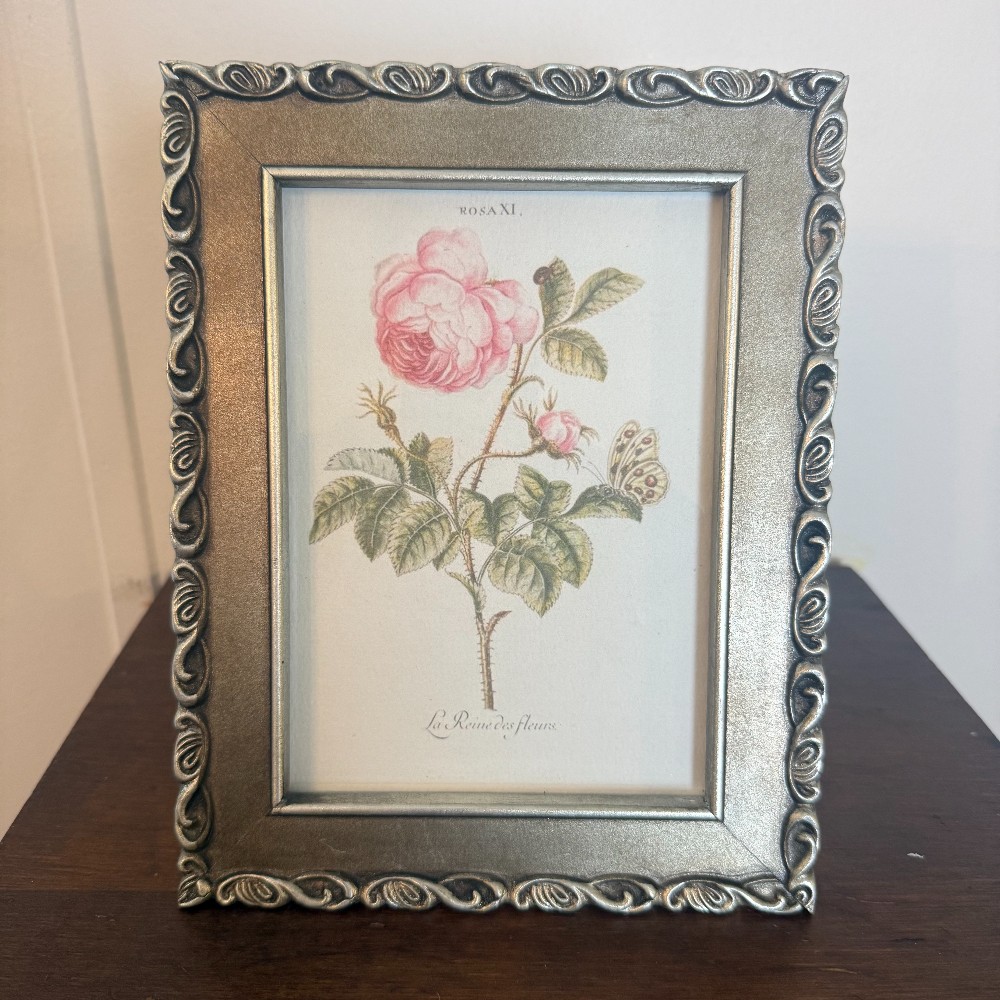 Silver Scroll Frame with Botanical Rose Print