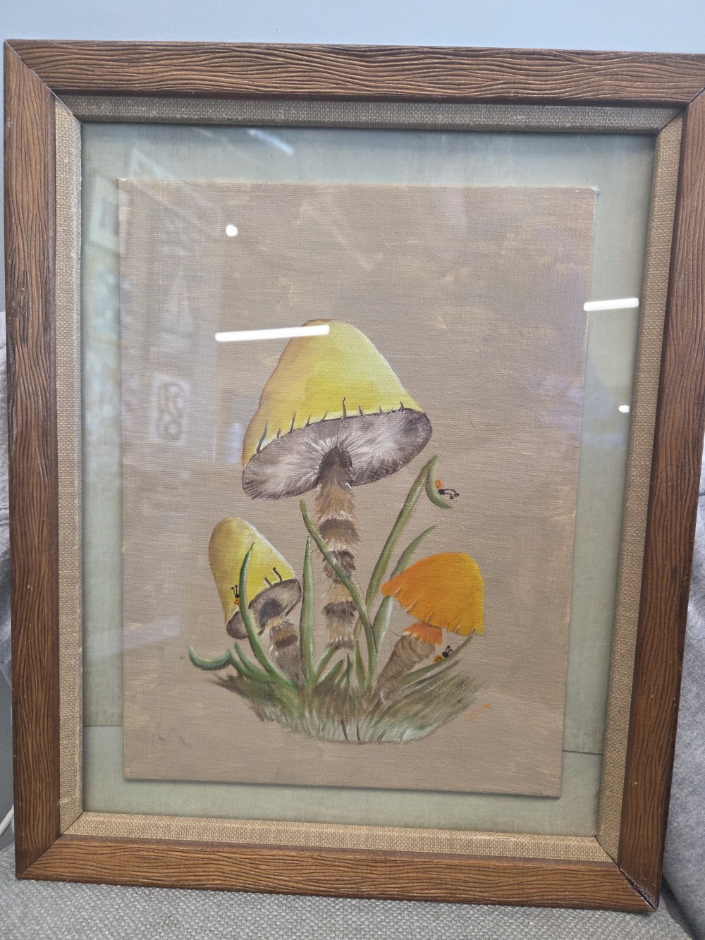 PMF-428 framed mushroom art