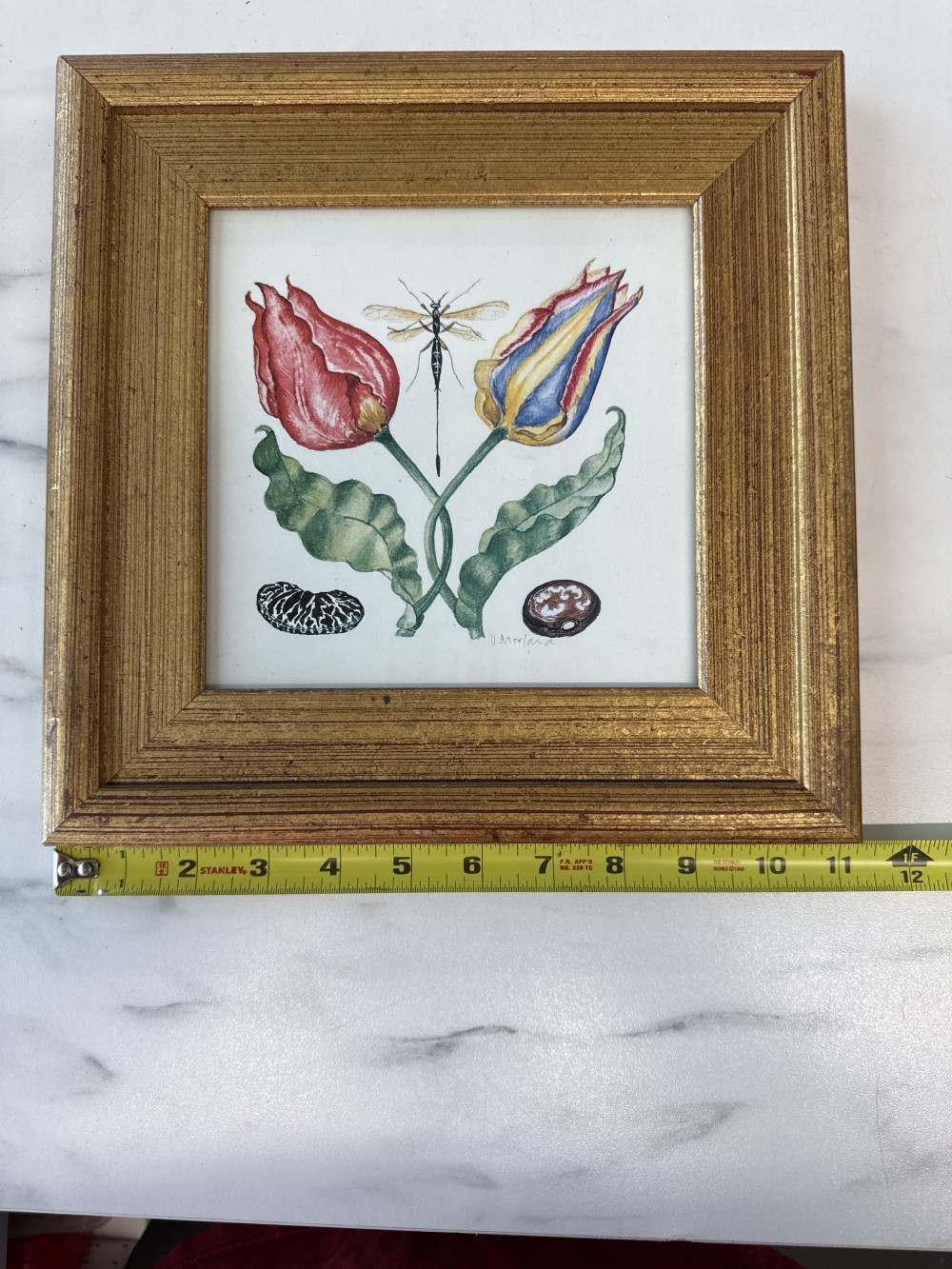Tulip & Dragonfly Botanical Print
