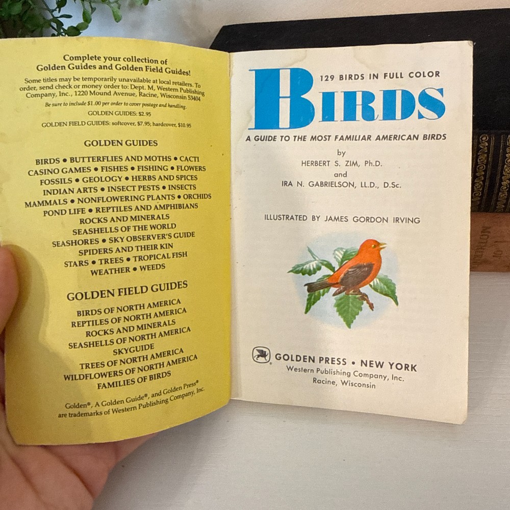 Golden Guide Birds – Vintage Pocket Guide