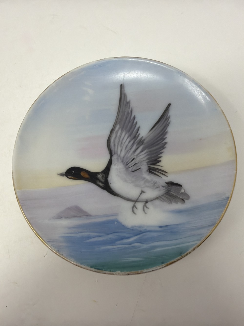 Vintage Duck in Flight