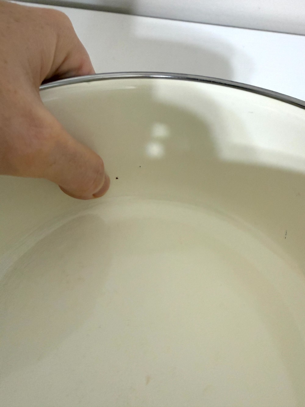 Enamelware Fruit Nesting Bowl #2