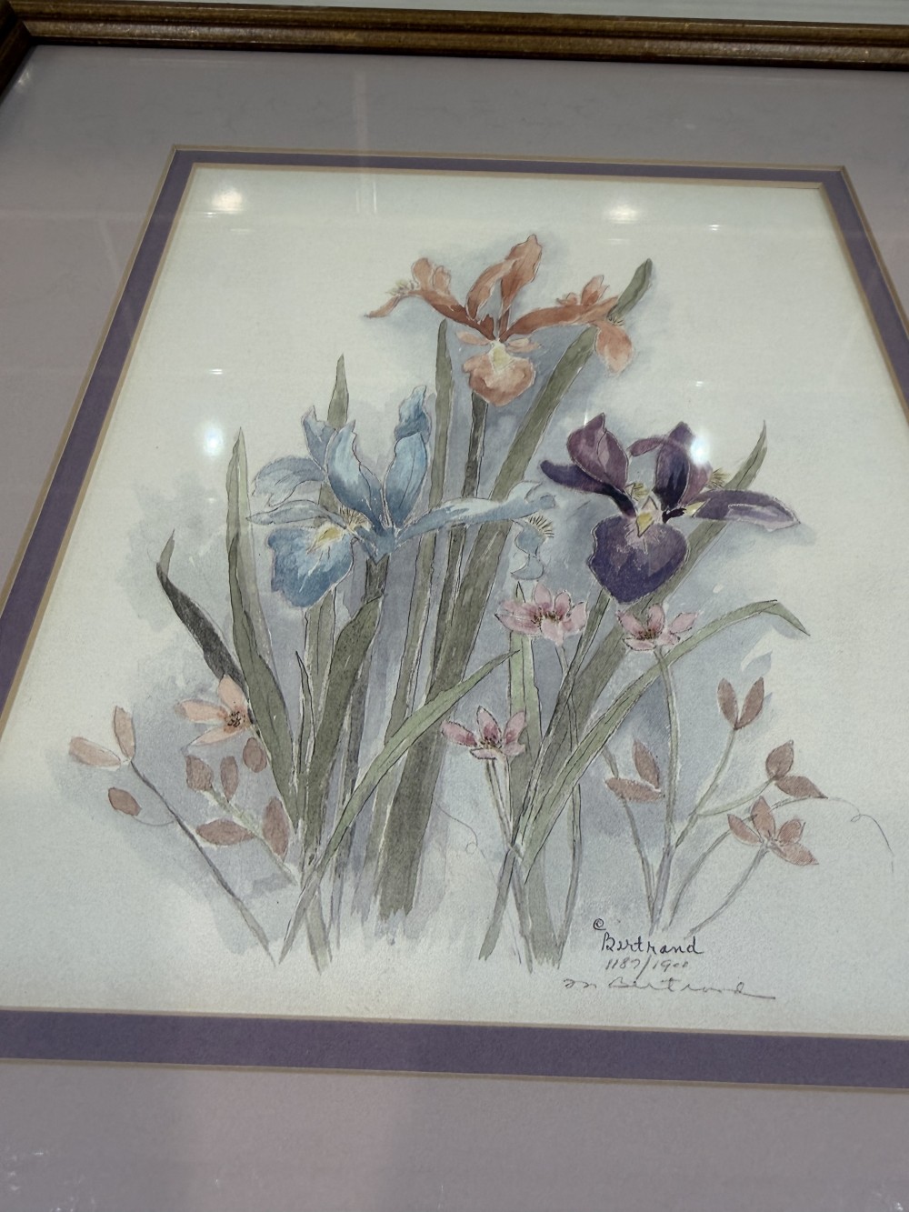 Vintage Framed Iris Floral Print