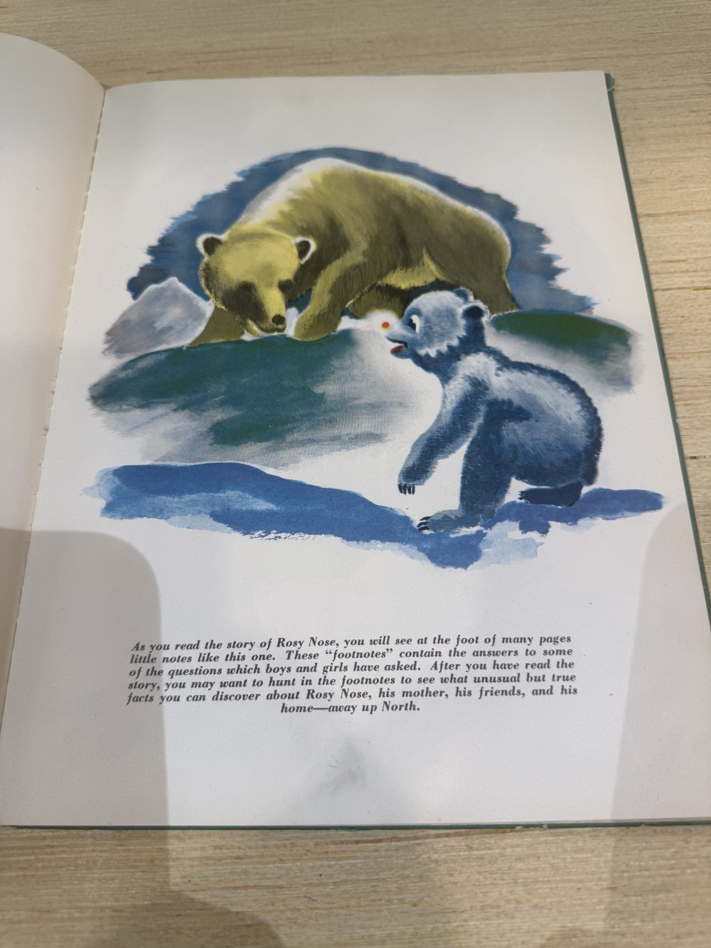 1946 Rosy Nose Childrens Book