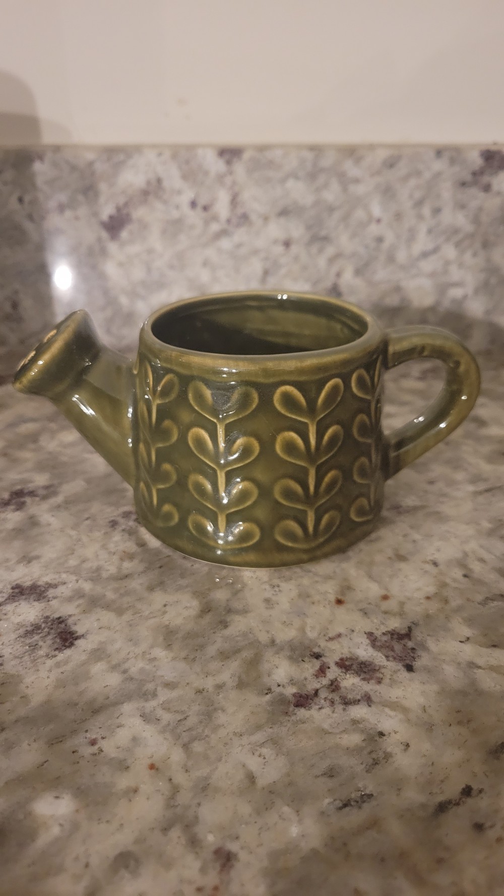 Olive Pottery Watering Can