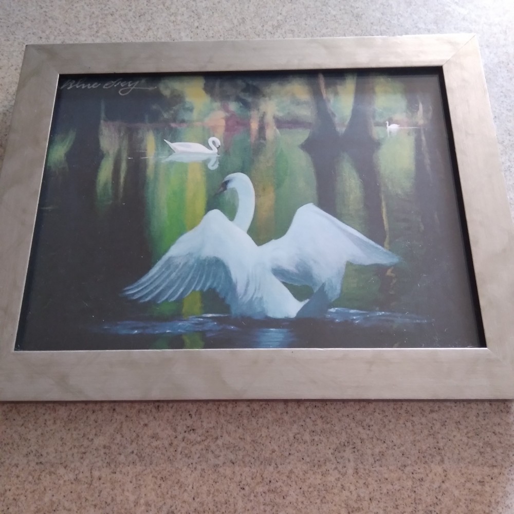 Swans Print Framed by Blue Sky