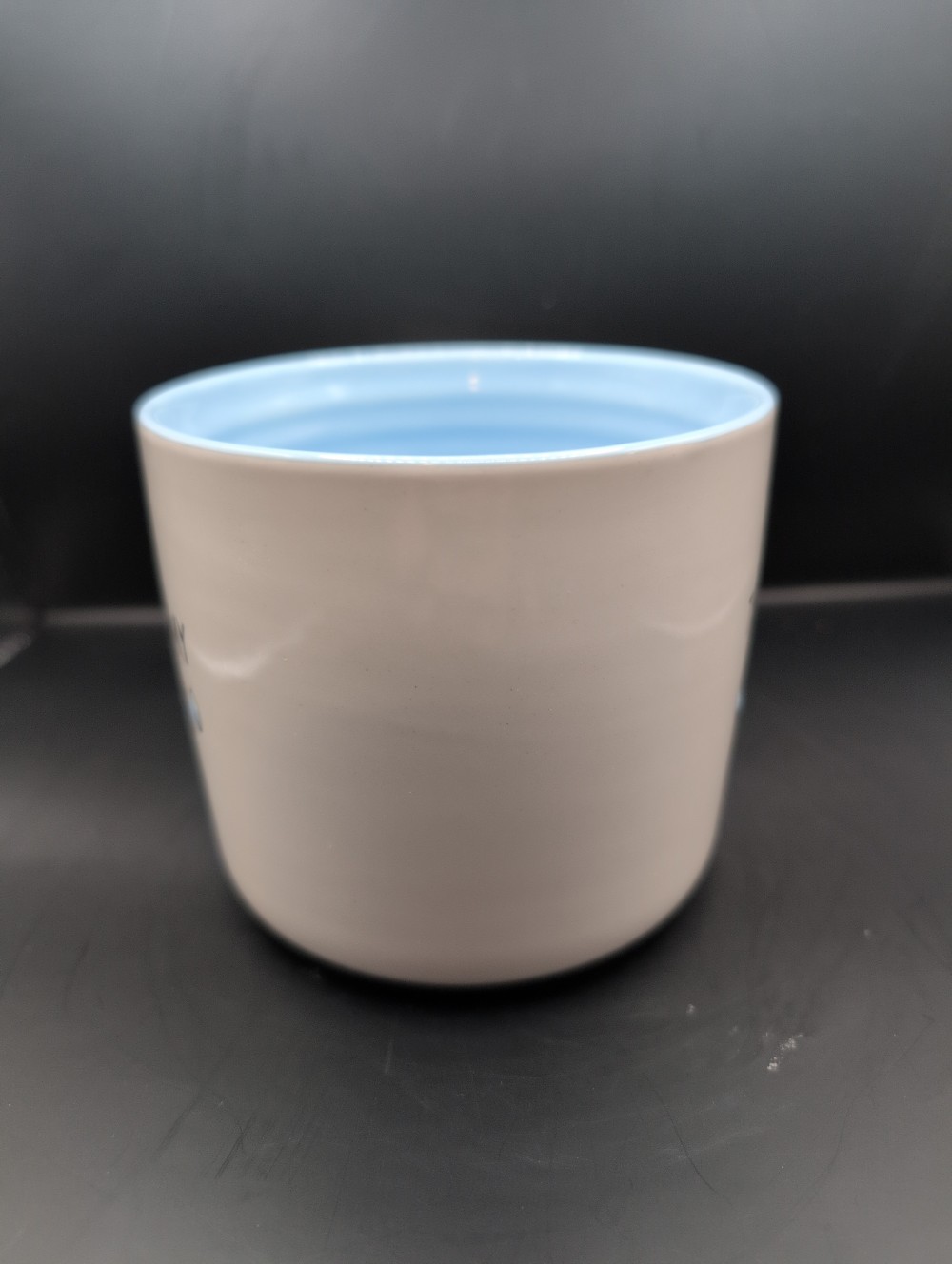Tears of my enemies mug