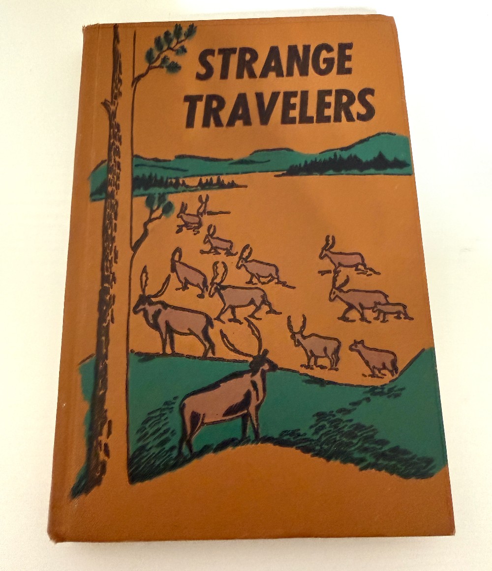 Strange Travelers Book